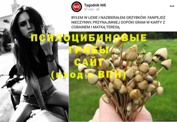 метадон Абинск