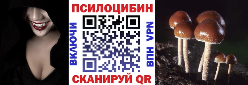 Псилоцибиновые грибы Psilocybe  купить наркотики сайты  Хадыженск 